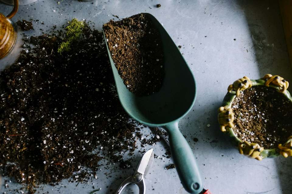 Potting soil, a scoop, and pruning shears, with no people in the frame